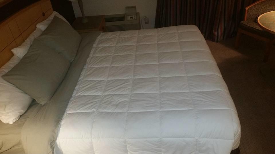 Canadas Best Value Inn Welland Dış mekan fotoğraf